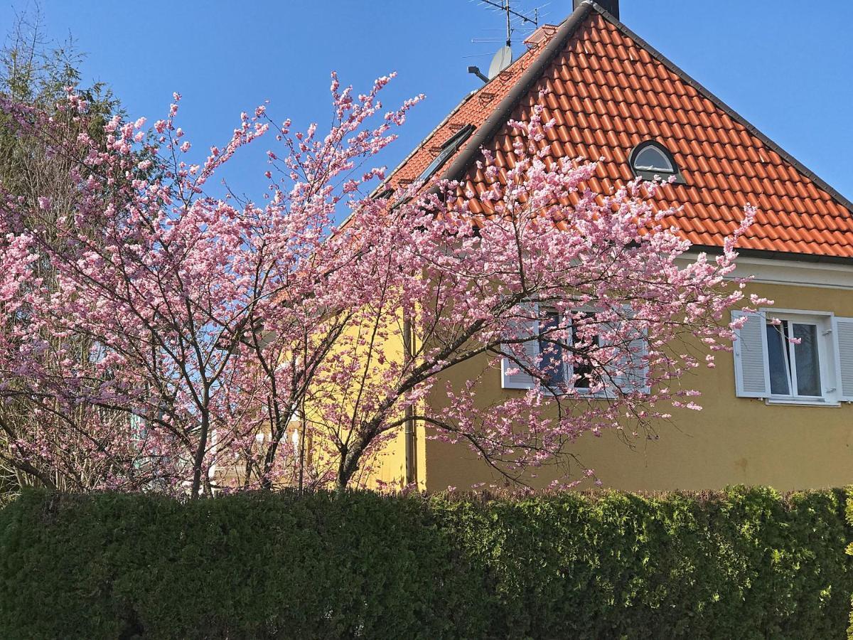 Lion Homestay Munich Exterior photo